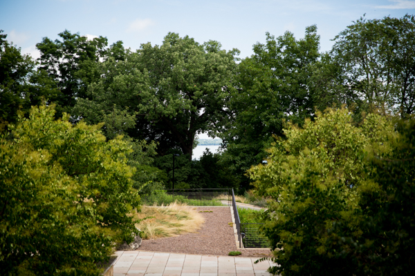 Vibrant green trees with a walking path running through them